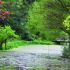 Parcul Dendrologic, Simeria